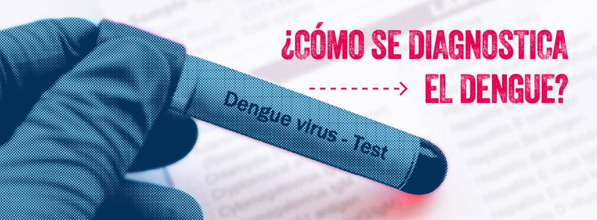 portada_diagnostico_dengue